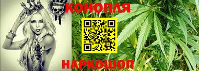 гашик Гай