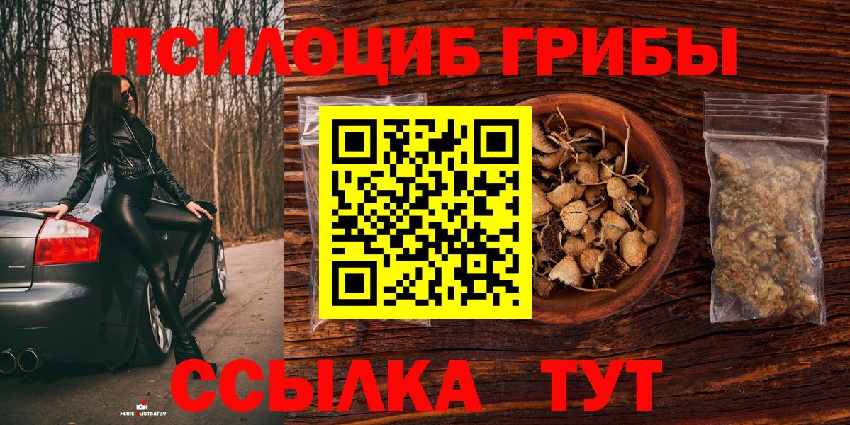 Псилоцибиновые грибы мухоморы Вольск