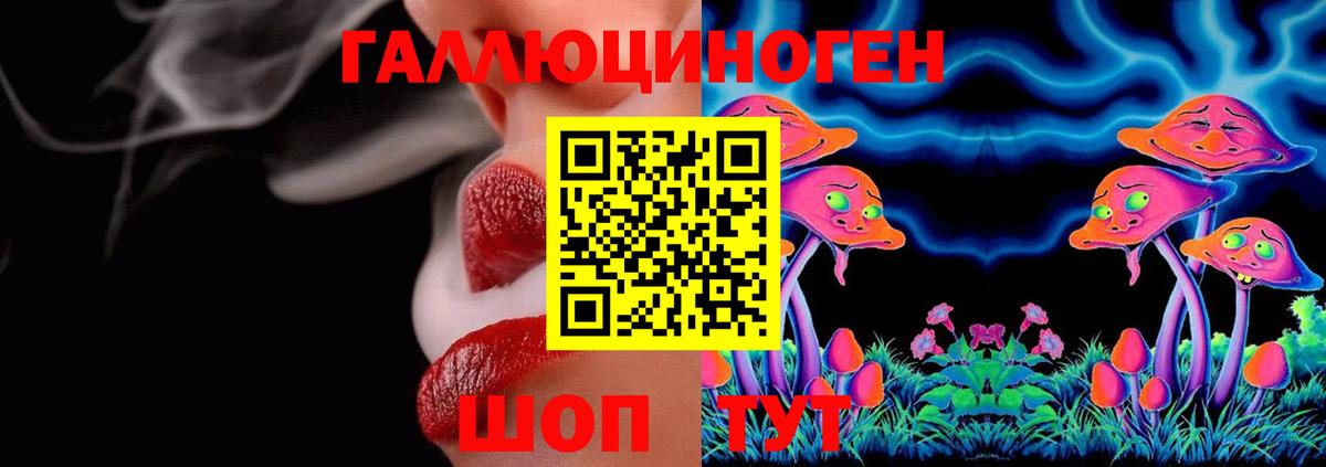 Псилоцибиновые грибы Cubensis  купить  сайты  Вход с VPN  Вольск  Галлюциногенные грибы Psilocybine cubensis 